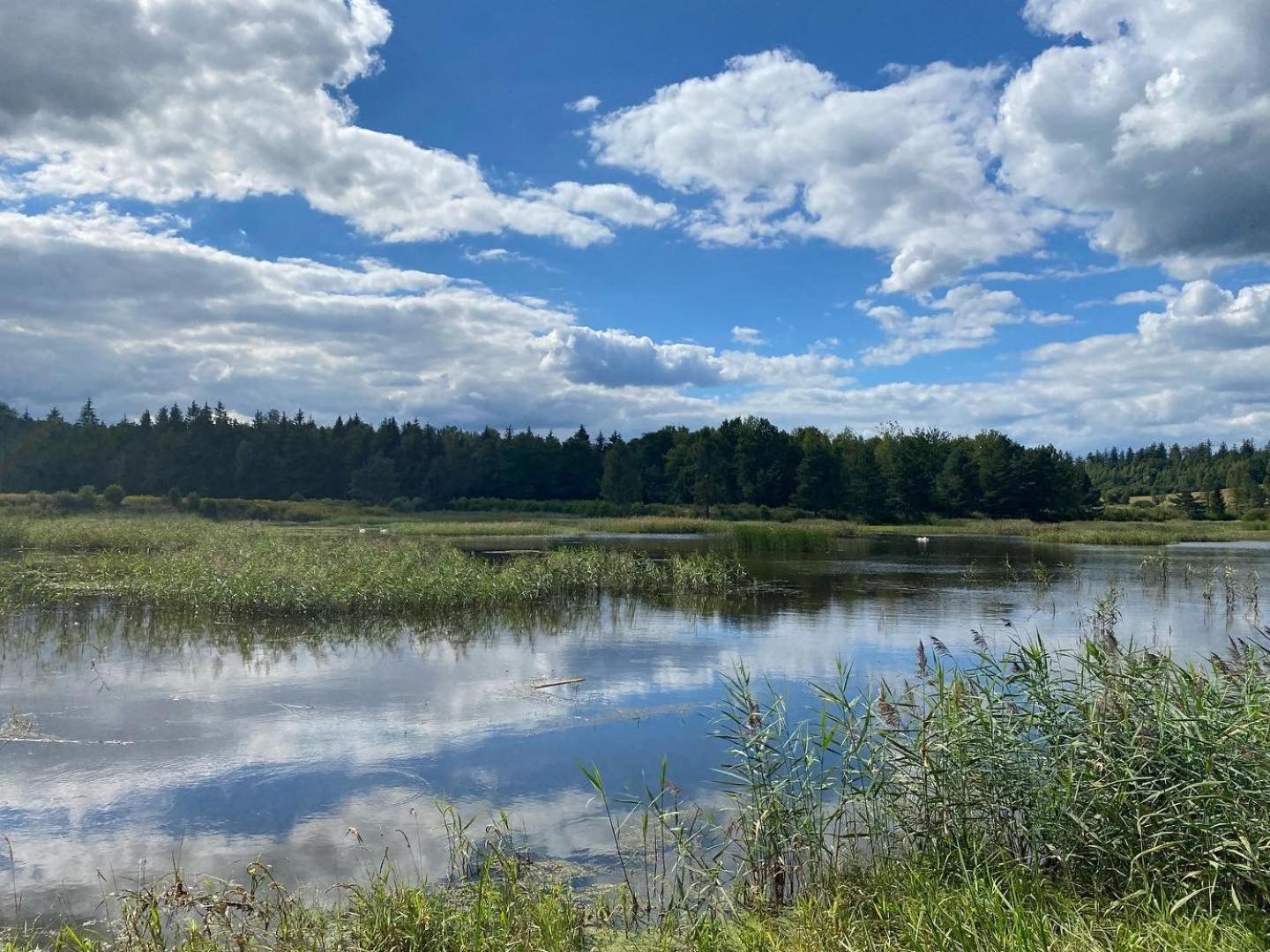 Hill Karpnki, Sauna, Hygge-balia, Lagom-jacuzzi Holiday home